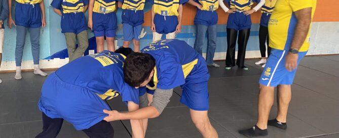 lucha canaria