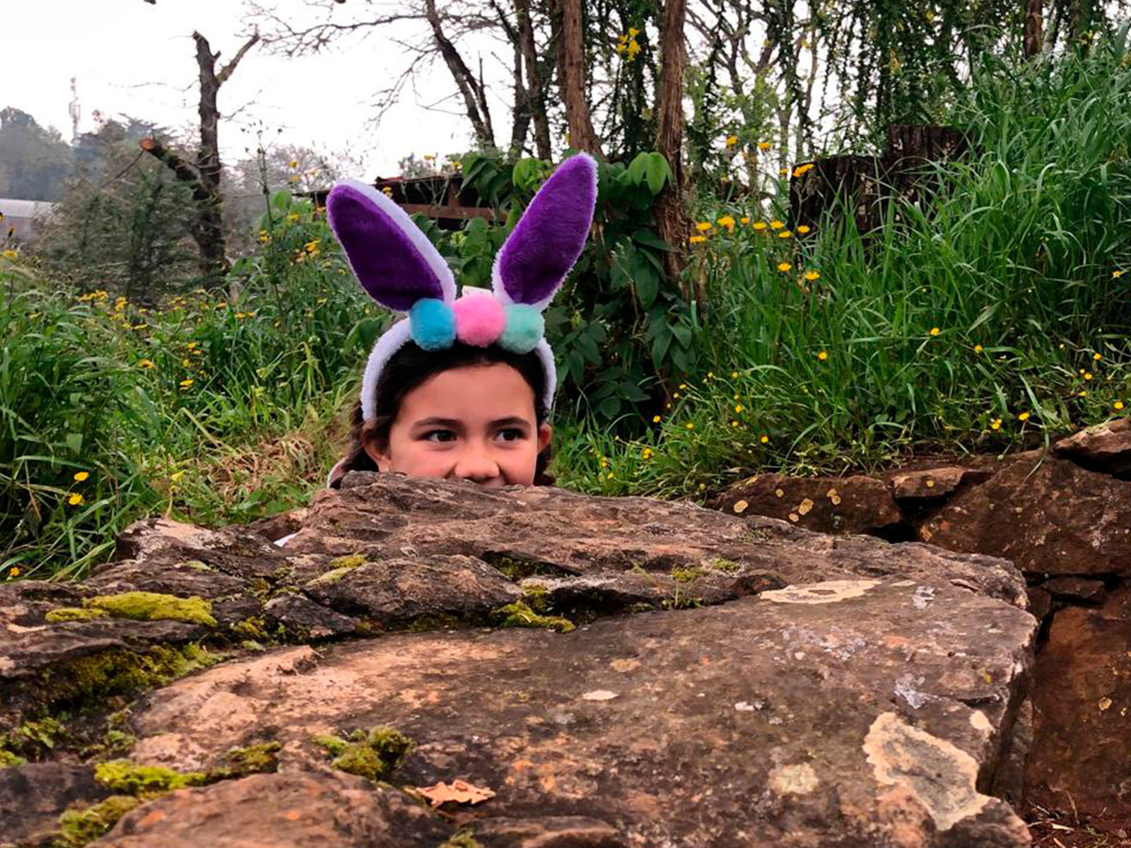 osterhase