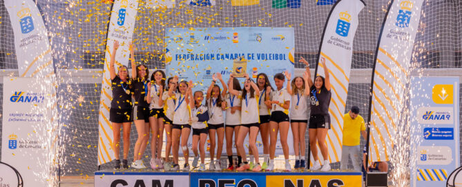 Voleibol alevin