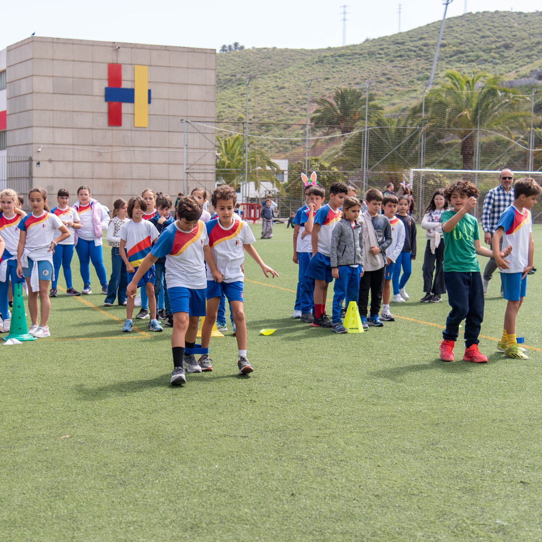 Primaria